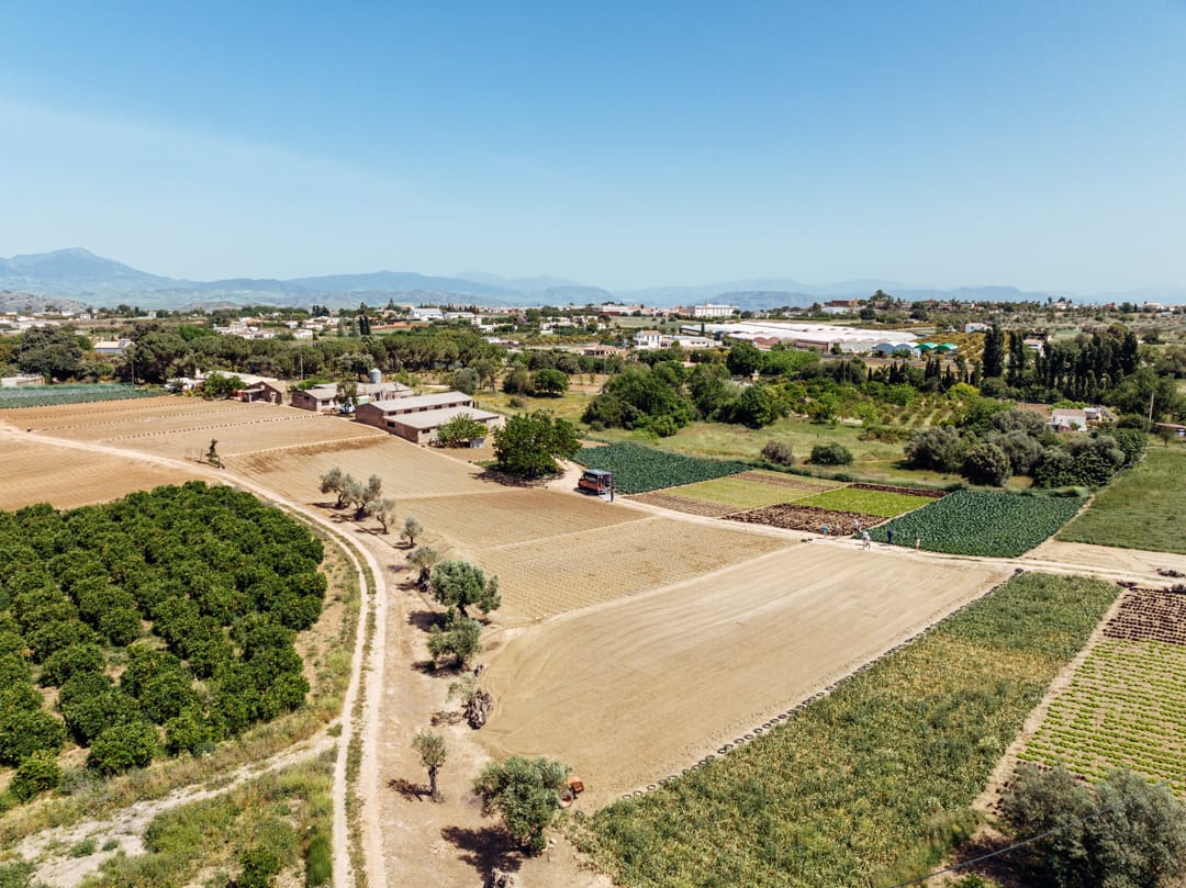 PIZARRA