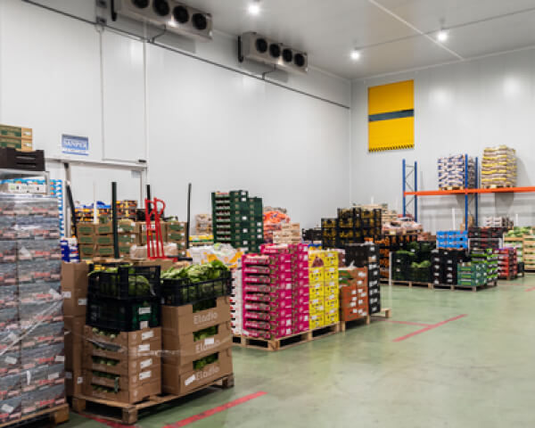 frutas y verduras Eladio
